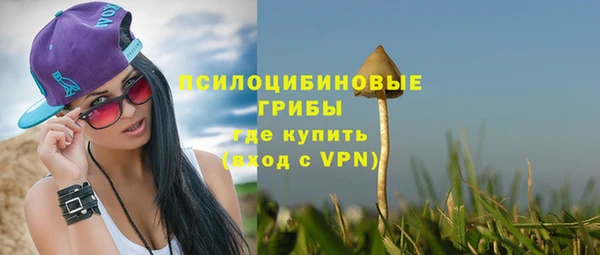 a pvp Белоозёрский