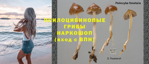 марки nbome Белокуриха