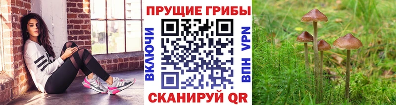 купить закладку  Октябрьский  Галлюциногенные грибы мицелий 